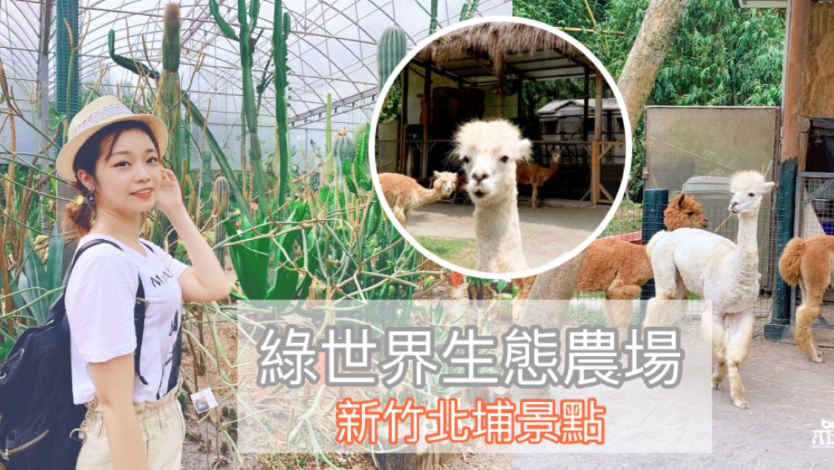 新竹親子一日遊景點|綠世界生態農場|跟草泥馬一起散步去！
