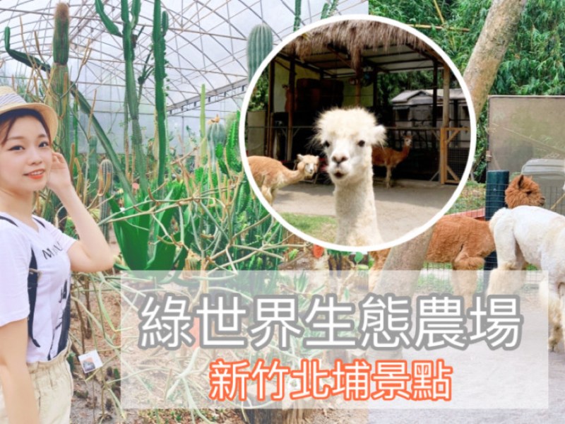 新竹親子一日遊景點|綠世界生態農場|跟草泥馬一起散步去！