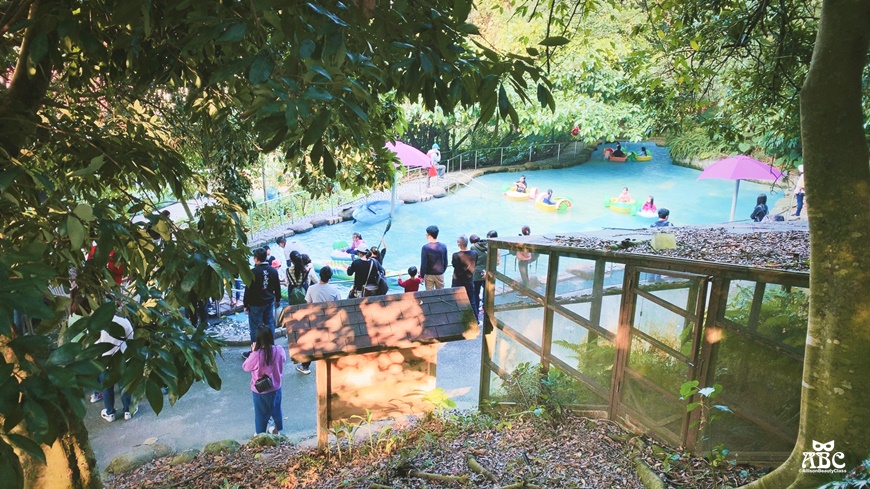 嘉義親子網美景點綠營牧場拍照打卡