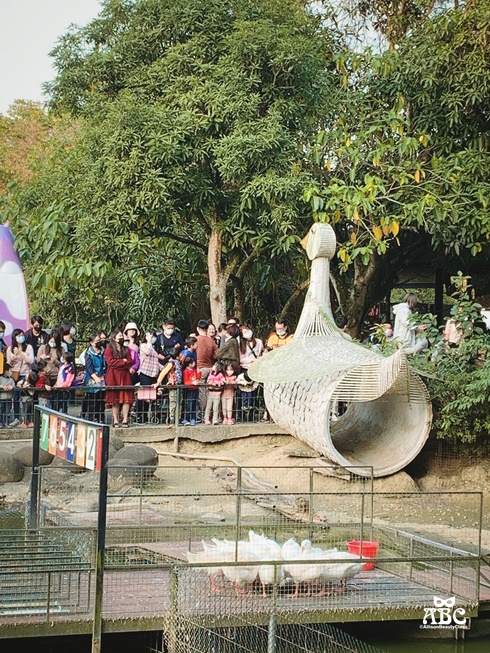 嘉義親子網美景點綠營牧場拍照打卡