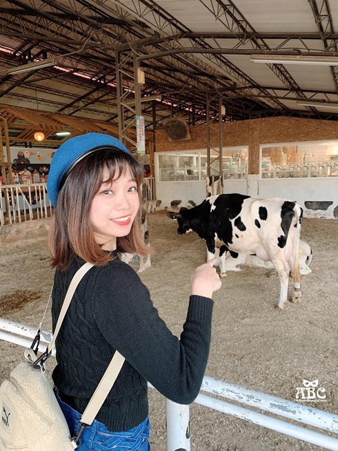 嘉義親子網美景點綠營牧場拍照打卡