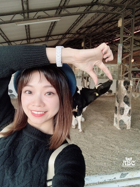 嘉義親子網美景點綠營牧場拍照打卡