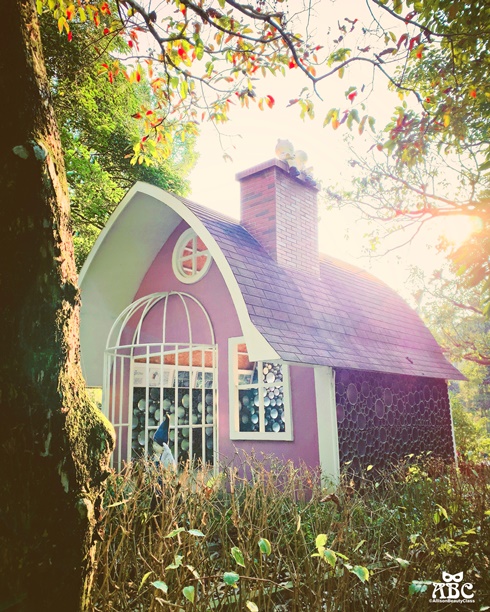 嘉義親子網美景點綠營牧場拍照打卡