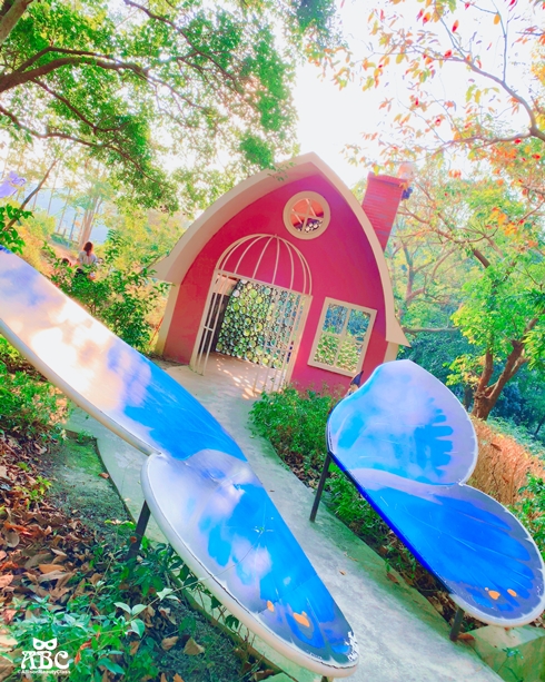 嘉義親子網美景點綠營牧場拍照打卡