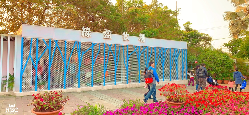 嘉義親子網美景點綠營牧場拍照打卡