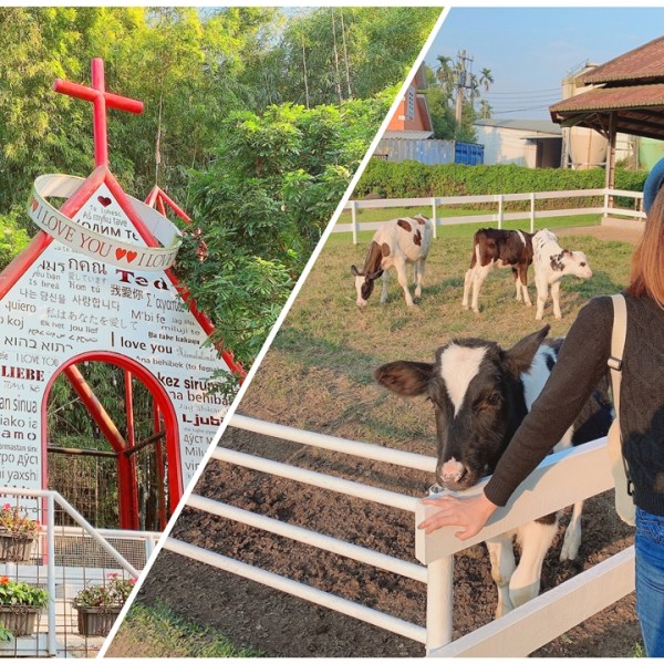 嘉義景點|綠盈牧場，網美拍照、親子生態體驗通通有！