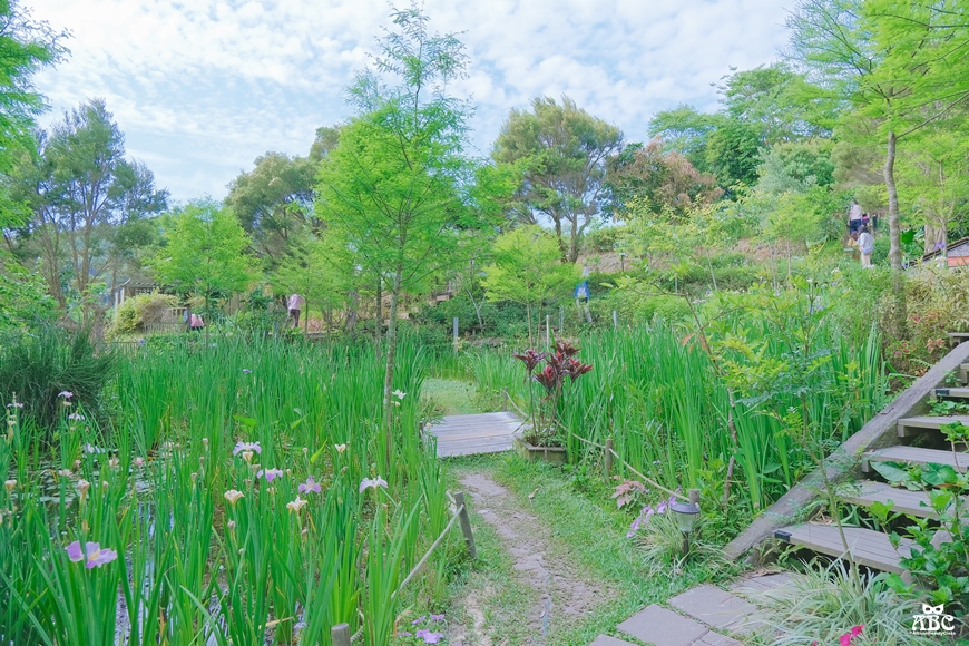 卓也小屋|苗栗景點|景觀餐廳|包棟民宿|網美下午茶