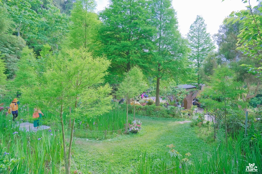 卓也小屋|苗栗景點|景觀餐廳|包棟民宿|網美下午茶