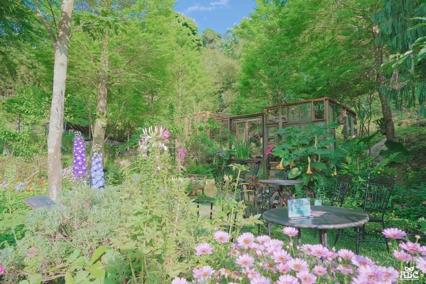 卓也小屋|苗栗景點|景觀餐廳|包棟民宿|網美下午茶