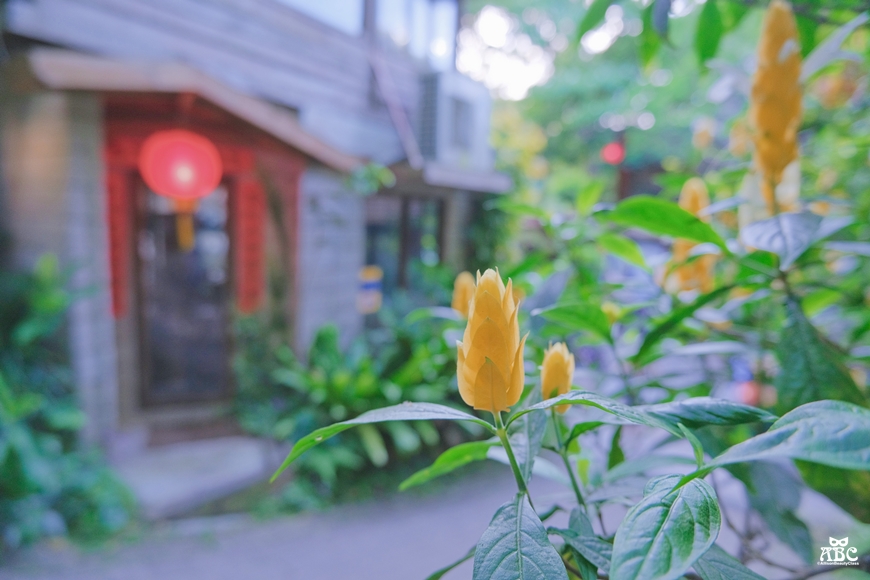 卓也小屋|苗栗景點|景觀餐廳|包棟民宿|網美下午茶