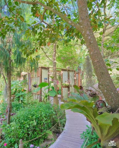 卓也小屋|苗栗景點|景觀餐廳|包棟民宿|網美下午茶