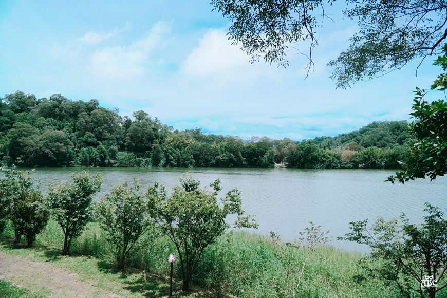沙湖壢咖啡館漣漪書屋|新竹寶山|寶山水庫|新竹美食景點打卡咖啡廳