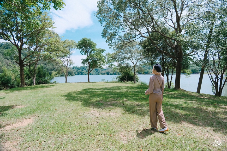 沙湖壢咖啡館漣漪書屋|新竹寶山|寶山水庫|新竹美食景點打卡咖啡廳