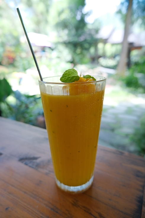 薰衣草森林快閃店|自己做烘焙俱樂部|自己做手捏包|台中新社店|台中旅遊親子網美景點