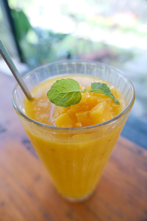 薰衣草森林快閃店|自己做烘焙俱樂部|自己做手捏包|台中新社店|台中旅遊親子網美景點