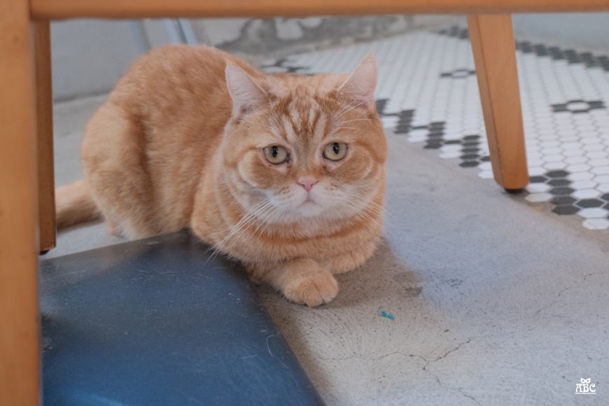 CMYK GALLERY|台中畫室|自助畫室|手作課|台中室內景點|IG打卡熱點
