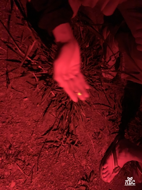 蟬說：霧繞|新竹豪華露營一泊二食|免搭帳|新竹旅遊景點