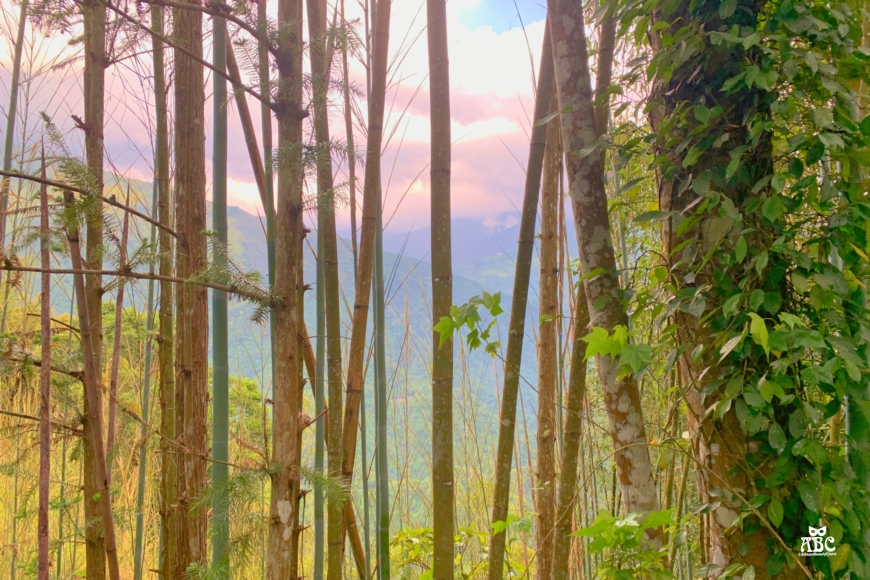蟬說：霧繞|新竹豪華露營一泊二食|免搭帳|新竹旅遊景點