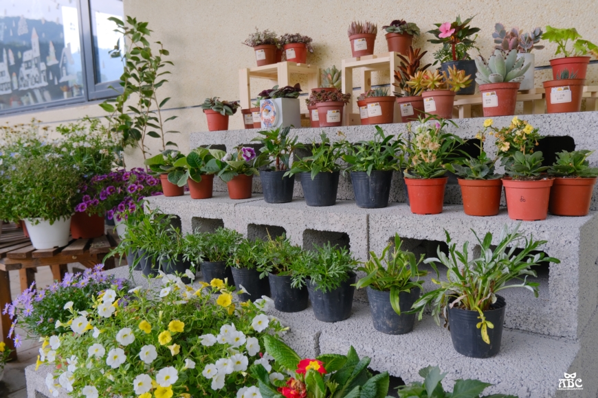 AS手作|苗栗景點|親子DIY|網美拍照打卡|南庄咖啡廳|苗栗美食