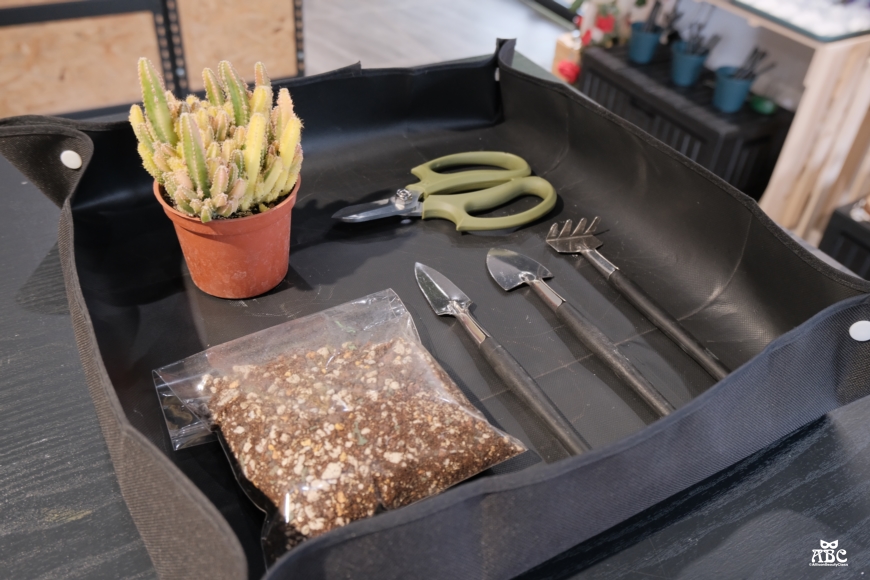 AS手作|苗栗景點|親子DIY|網美拍照打卡|南庄咖啡廳|苗栗美食