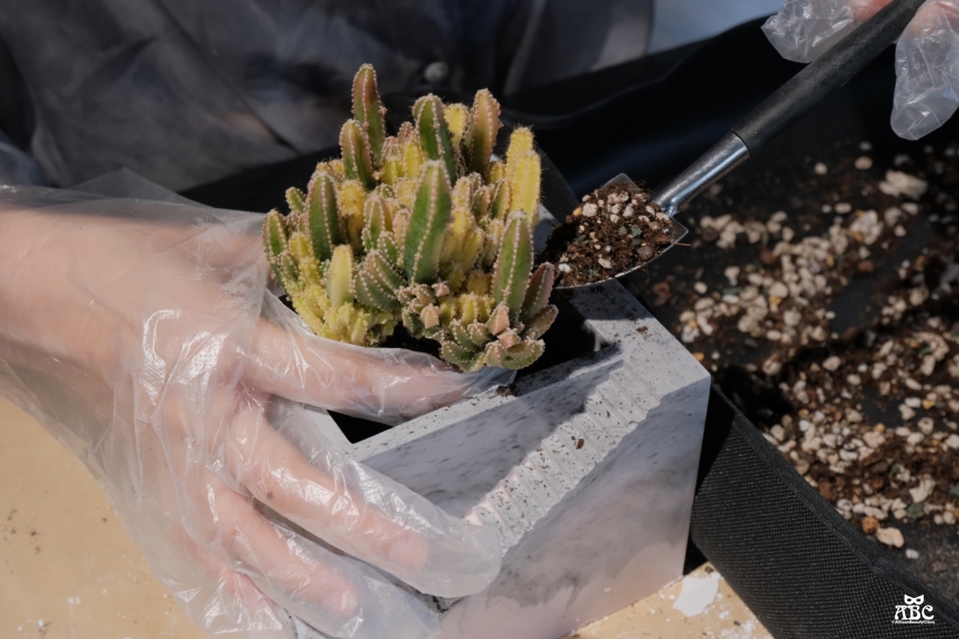 AS手作|苗栗景點|親子DIY|網美拍照打卡|南庄咖啡廳|苗栗美食