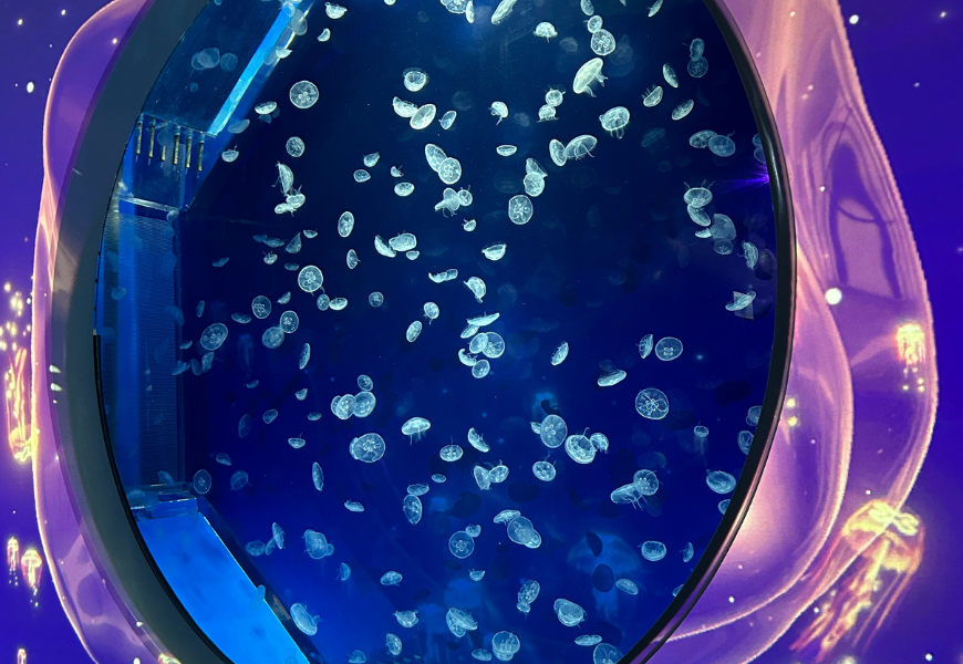 Xpark|桃園景點|桃園拍照打卡|桃園親子景點|桃園約會景點|桃園室內景點|中壢景點|桃園燈會