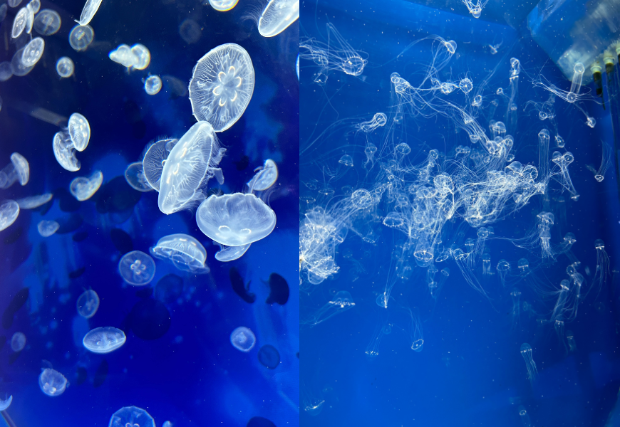 Xpark|桃園景點|桃園拍照打卡|桃園親子景點|桃園約會景點|桃園室內景點|中壢景點|桃園燈會