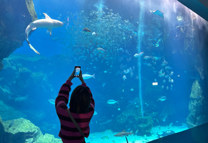 Xpark|桃園景點|桃園拍照打卡|桃園親子景點|桃園約會景點|桃園室內景點|中壢景點|桃園燈會