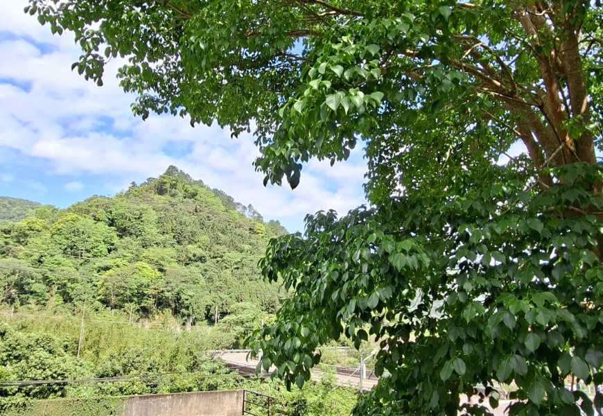 SamsungGalaxyA565G開箱|三星手機開箱實拍|AI修圖自動剪輯|去背|手機P圖|手機自拍VLOG
