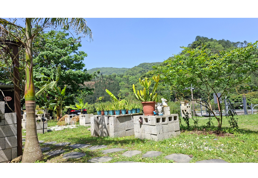 SamsungGalaxyA565G開箱|三星手機開箱實拍|AI修圖自動剪輯|去背|手機P圖|手機自拍VLOG
